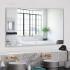 Modern Bathroom / Vanity Mirror